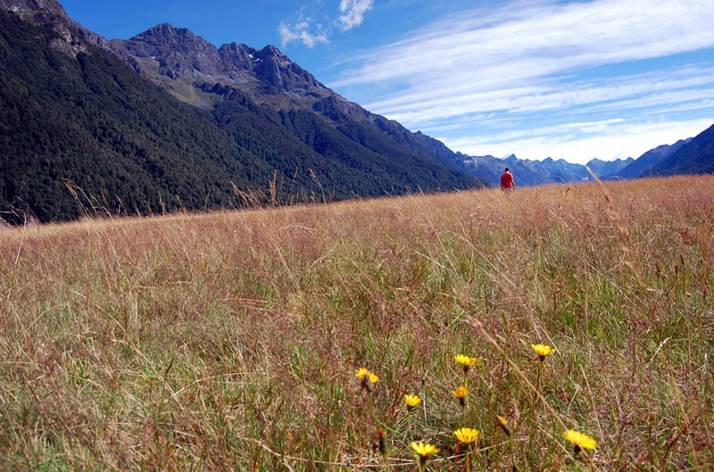 020109 Milford Sound 007