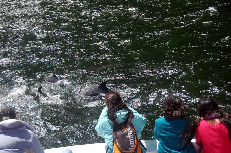 020109 Milford Sound 055