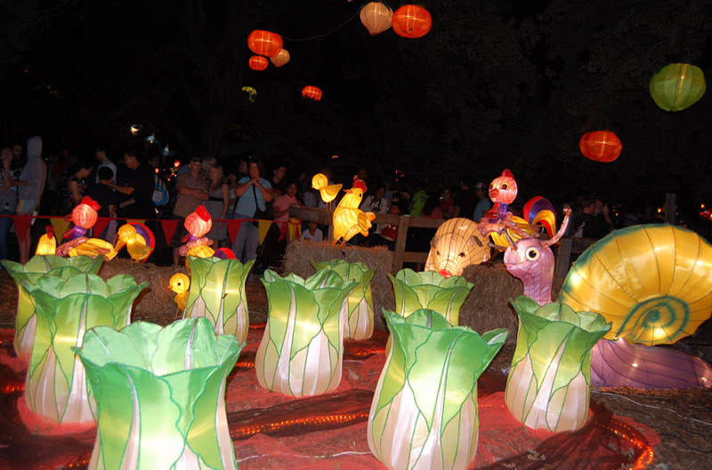 020809 Auckland descanso 8x6 013