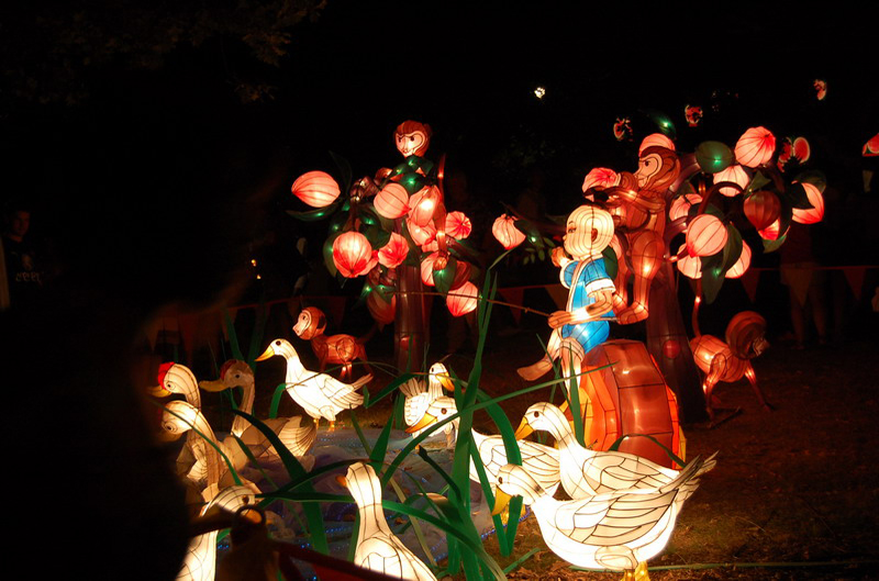 020809 Auckland descanso 8x6 016