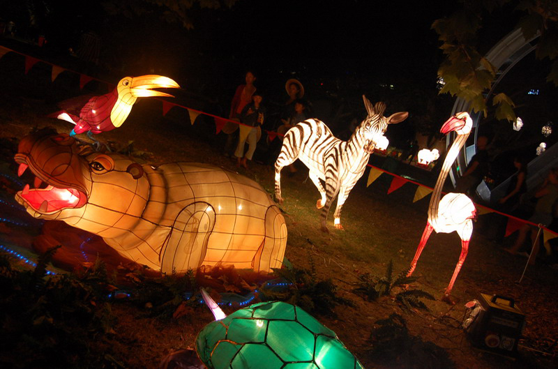 020809 Auckland descanso 8x6 027