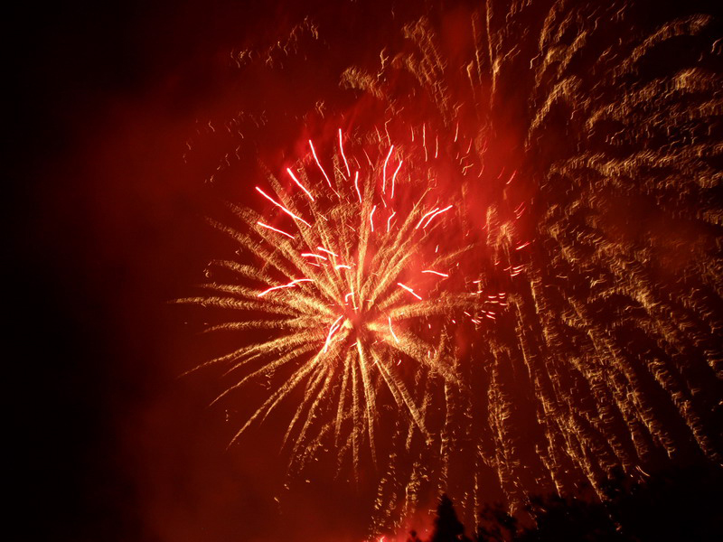 020809 Auckland descanso 8x6 044