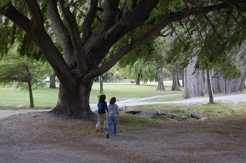 020309 Lago Wanaka 010