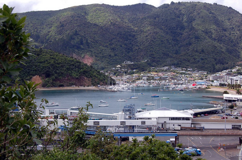 020509 Queen Charlotte's Track 001