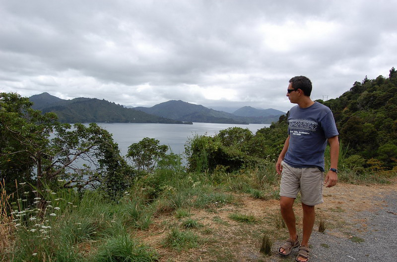 020509 Queen Charlotte's Track 003