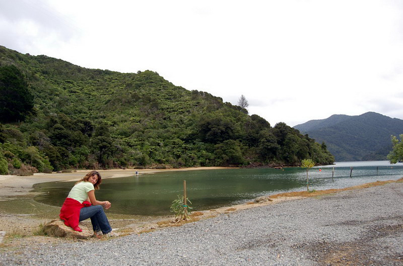 020509 Queen Charlotte's Track 009