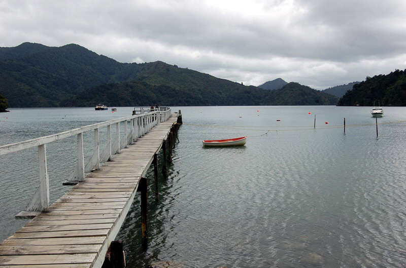 020509 Queen Charlotte's Track 010