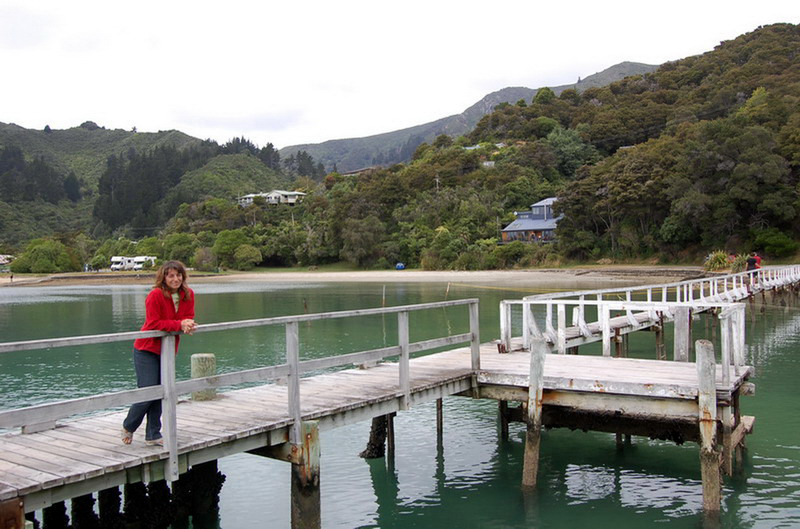 020509 Queen Charlotte's Track 012