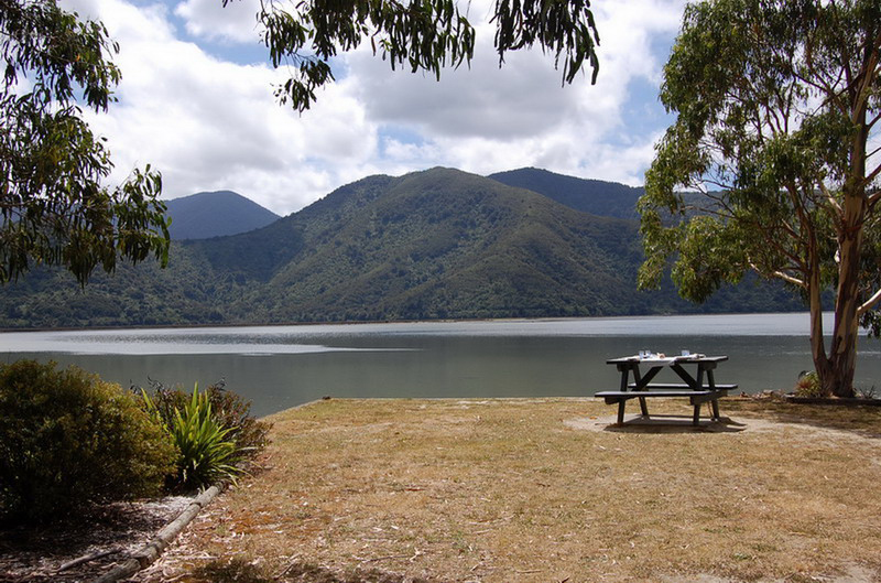 020509 Queen Charlotte's Track 025