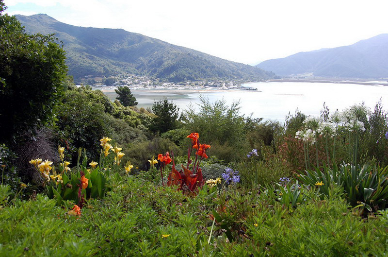 020509 Queen Charlotte's Track 034