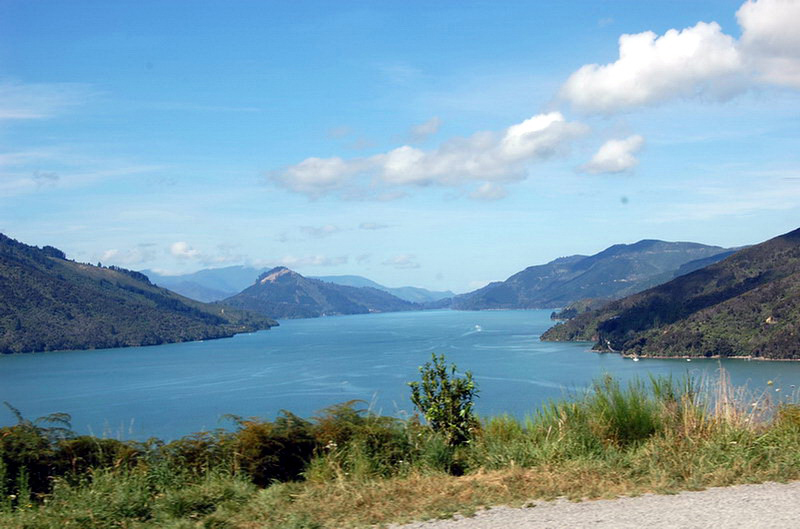 020509 Queen Charlotte's Track 036