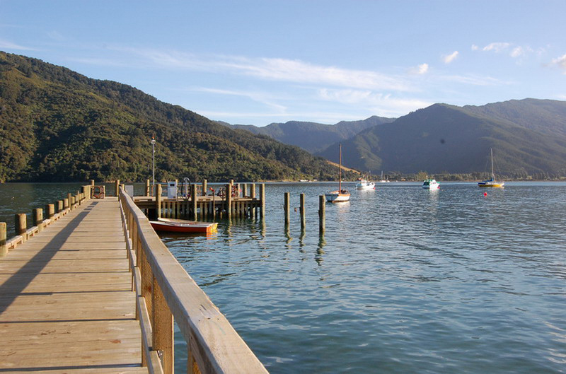 020509 Queen Charlotte's Track 053