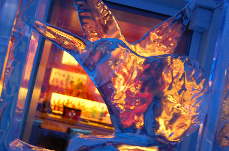 020209 Queenstown 086