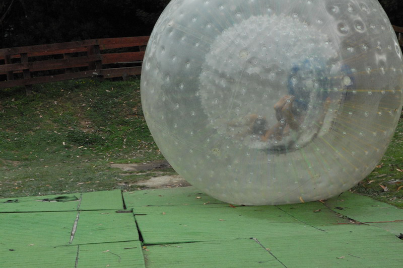 020909 Rotorua Zorbing 8x6 010