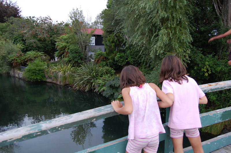 020909 Rotorua Zorbing 8x6 051
