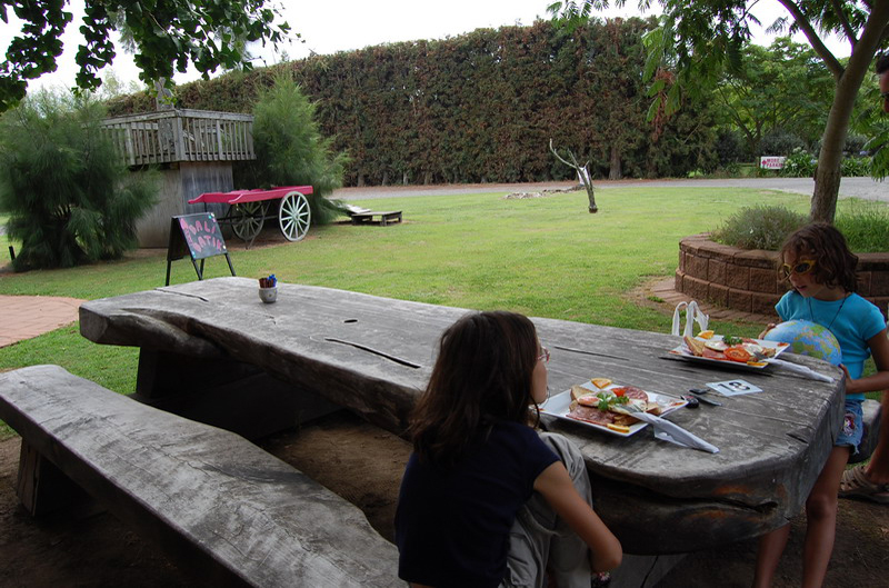 021209 Camino a Whitianga 002