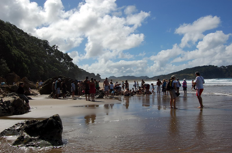 021509 Whitianga Hot water Beach 8x6 007