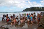 021509 Whitianga Hot water Beach 8x6 009