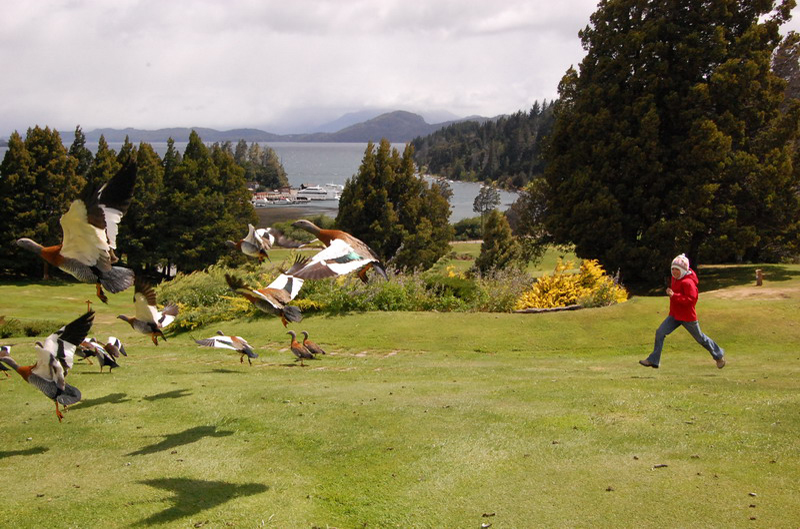 122108 Bariloche 8x6 017