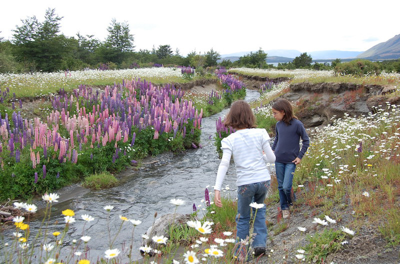 122408 Torres Paine 007