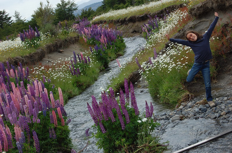 122408 Torres Paine 012