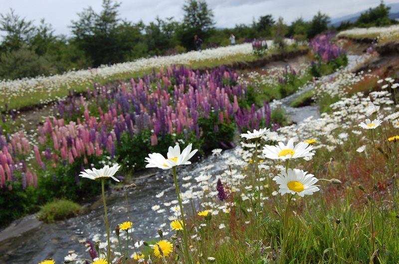 122408 Torres Paine 016