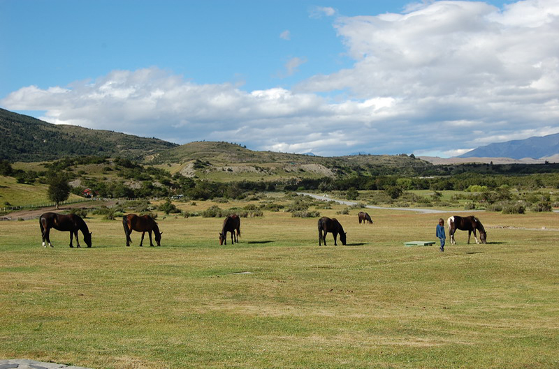 122408 Torres Paine 083