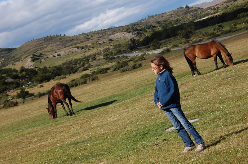 122408 Torres Paine 084