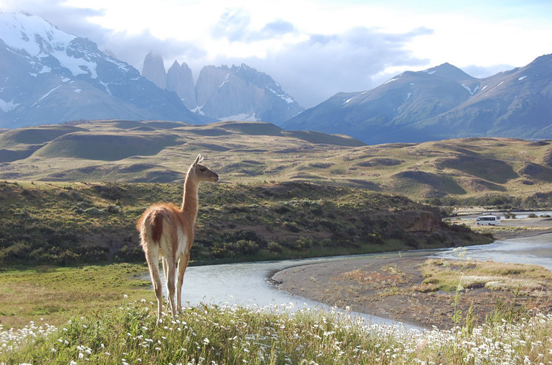 122408 Torres Paine 101