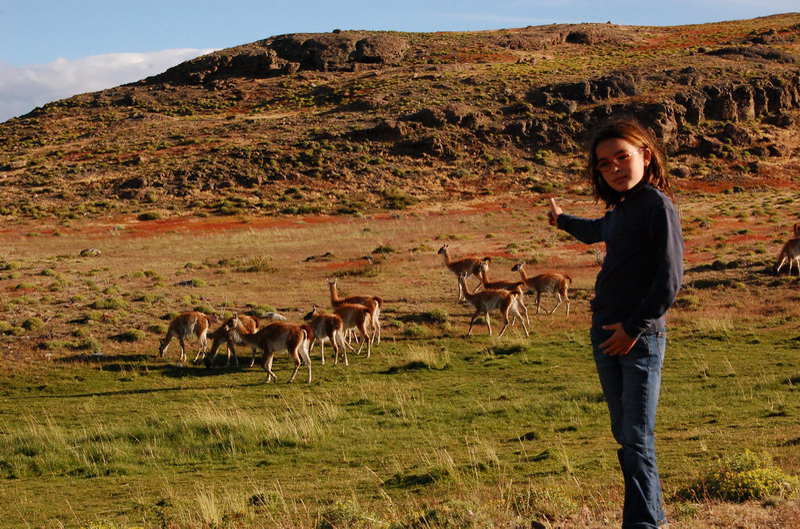 122408 Torres Paine 105