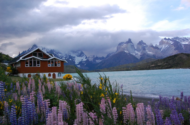 122408 Torres Paine 118