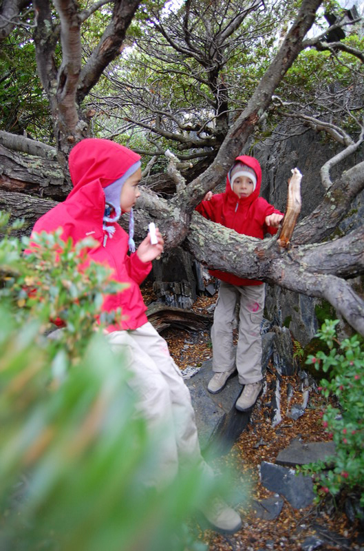 122508 Torres Paine 8x6 075