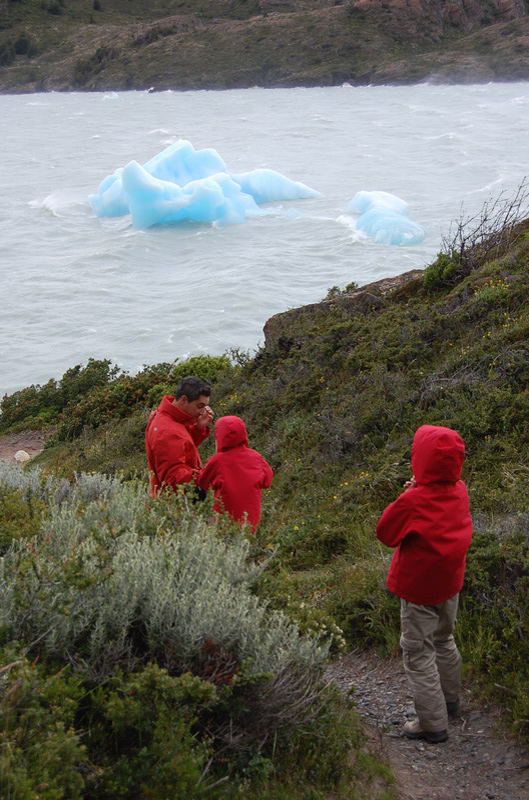 122508 Torres Paine 8x6 078