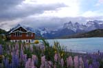 122408 Torres Paine 118