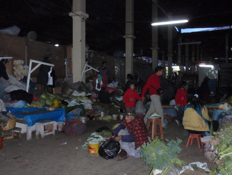 112808 Cuzco 8x6 011