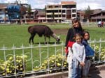 112608 Cuzco. Saqsaywaman+Coricancha 8x6 002