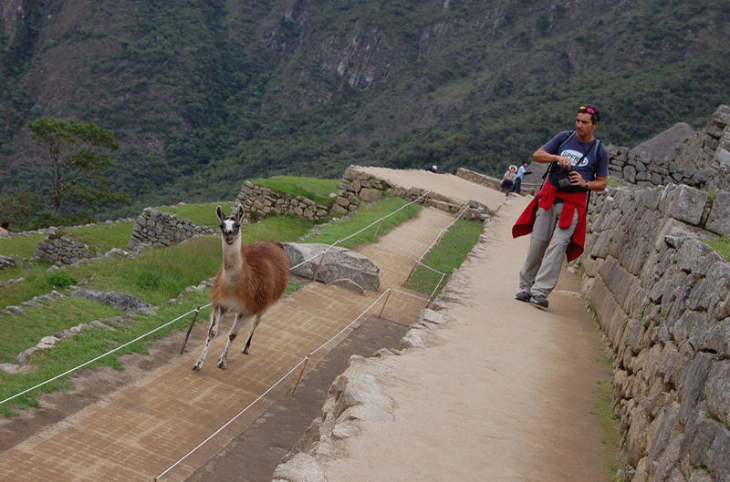 112708 Machu Pichu 8x6 069