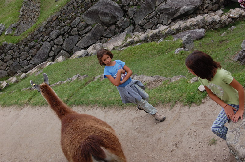 112708 Machu Pichu 8x6 070