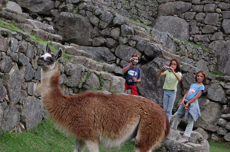 112708 Machu Pichu 8x6 071