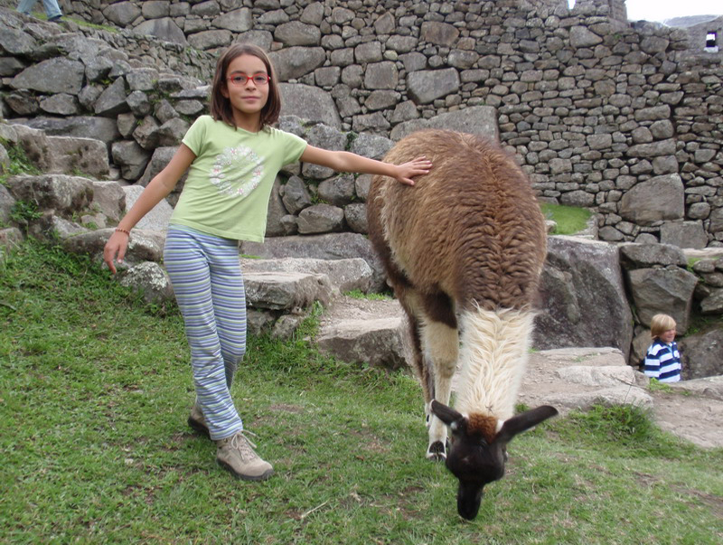 112708 Machu Pichu 8x6 110