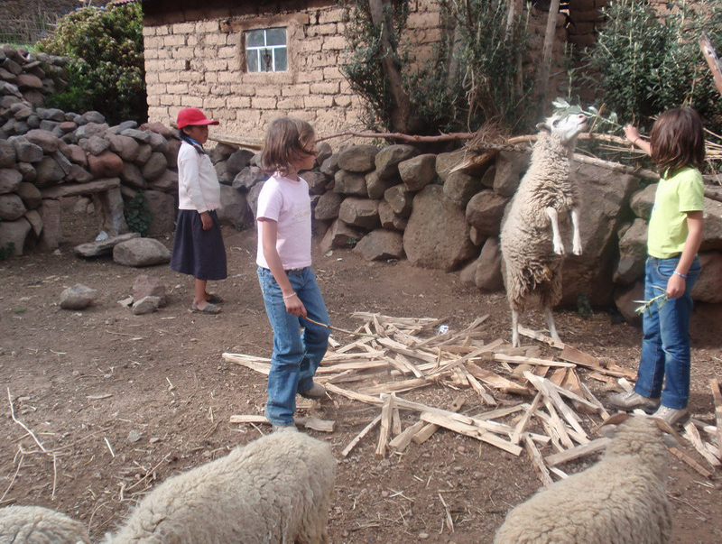 113008 Titicaca. Uros+Amantani 8x6 035.dat