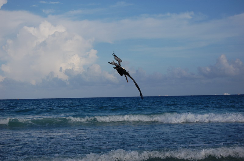 100708 Playa del Carmen 028