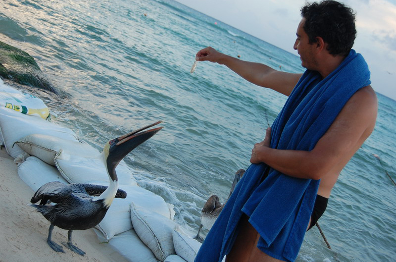 100708 Playa del Carmen 052