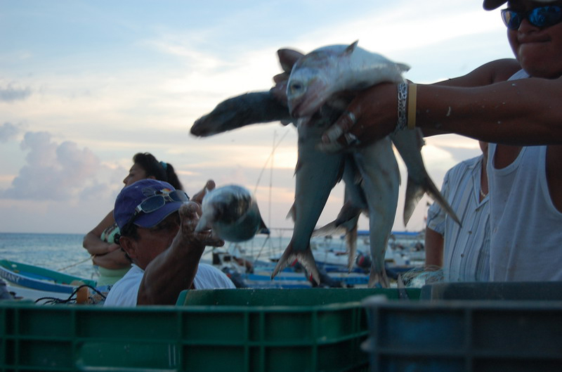 100708 Playa del Carmen 053