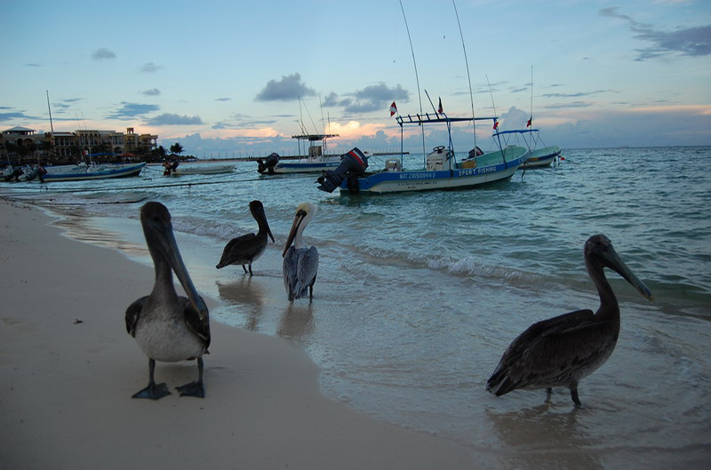 100908 Playa del Carmen 033