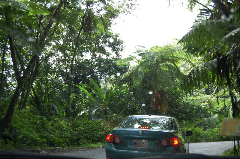 El Yunque 007