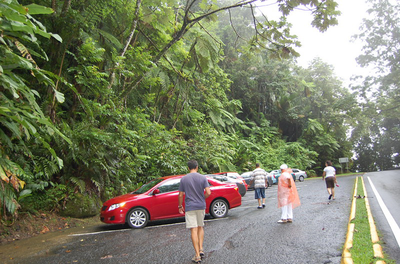 El Yunque 008_1