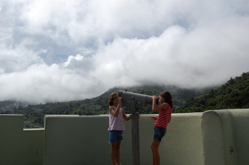 El Yunque 011