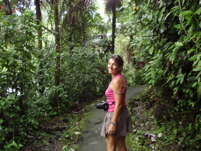 El Yunque 042