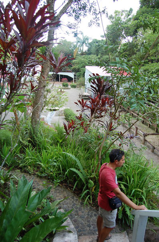 Ponce. Buenaventura 005